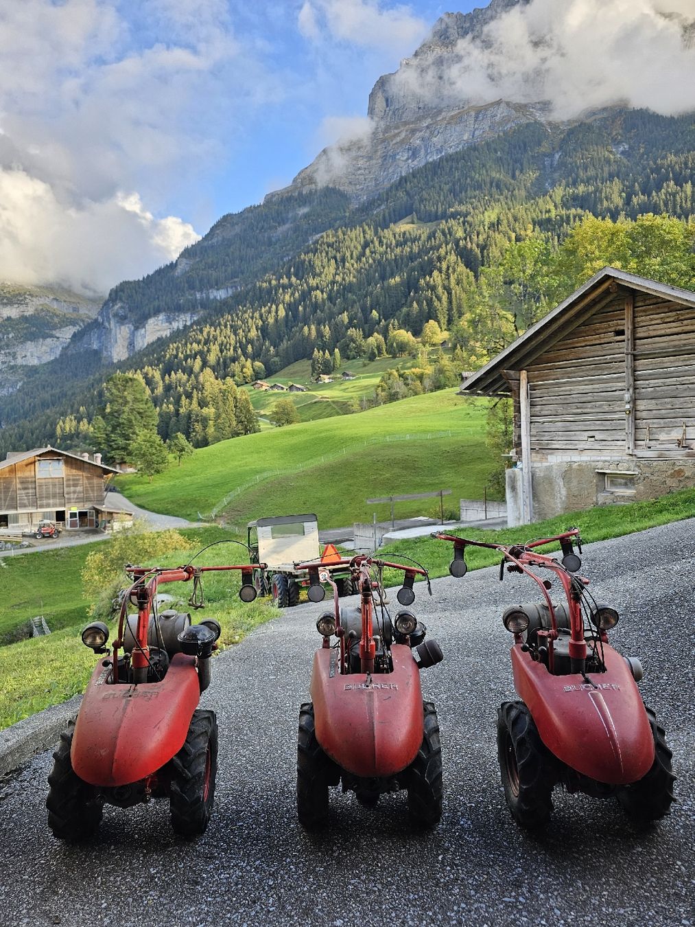 Bucher Alle Maschinen: Motormäher Bucher – Gebraucht aus Grindelwald von tho_gwald 1