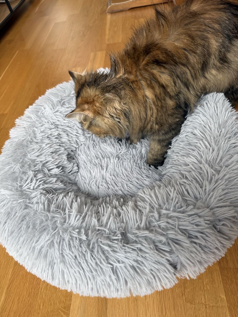 Liege- & Schlafplätze: Katzen- oder Hundebett  – Neu (gemäss Beschreibung) aus St. Gallen von ane_9zfy 1