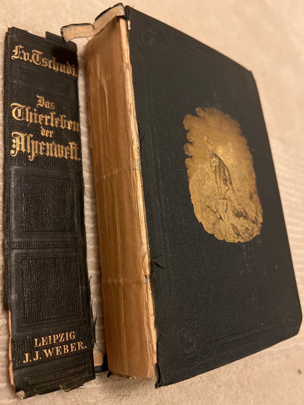 Bücher: Das Thierleben der Alpenwelt, Leipzig, 1860 – Gebraucht aus Endingen von chocosweet 5