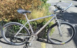 Älteres Bike der Marke Marin