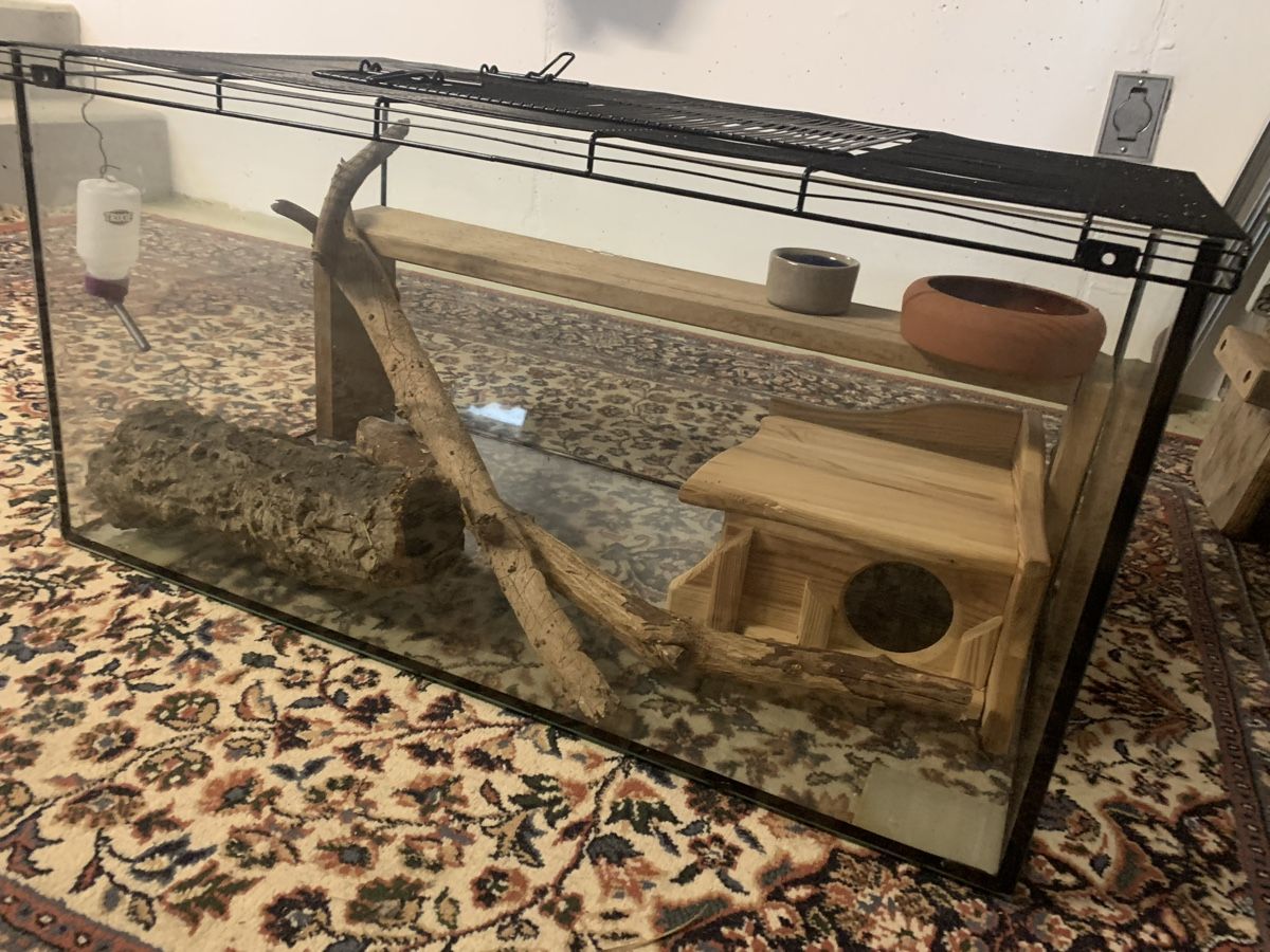 Terrario: Glasterrarium mit Gitterdeckel – Usato da Brugg AG venduto da Simone92 2