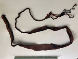 Antike Steinschleuder ca. 1.5 m, präkolumbianischen Kultur