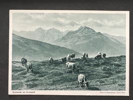AK 1939 Strelapass Kuhherde gebraucht (G3688)
