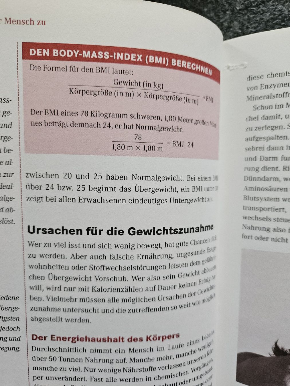 Libri: Schlank mit Schüssler Salzen - Das Original Buch – Usato da Urdorf venduto da Colina 6