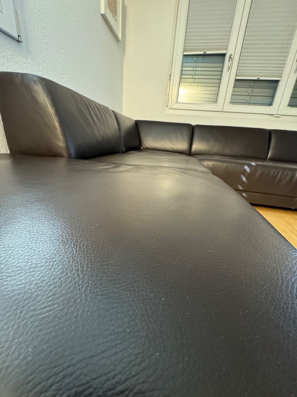 Divani: Ledersofa – Usato da Kestenholz venduto da cvx_889vv 4