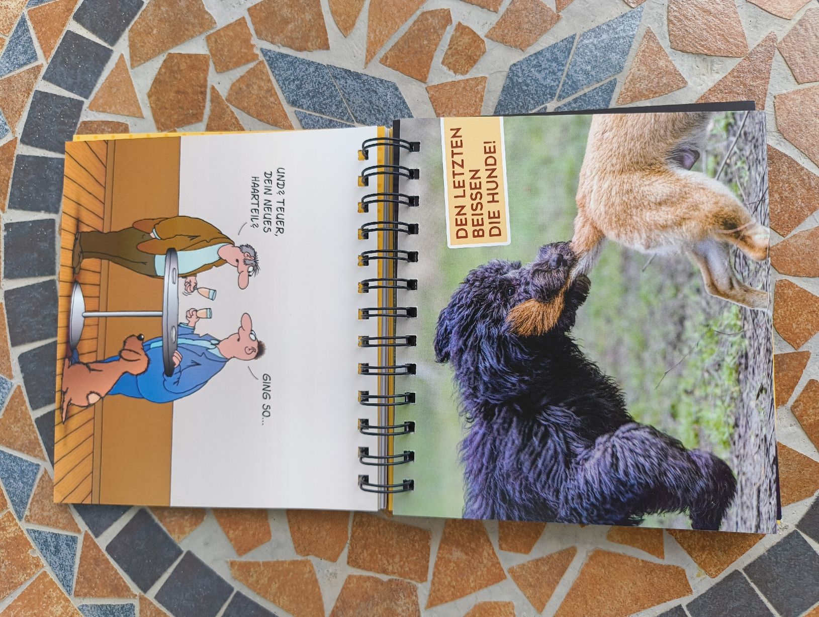 Bücher: Uli Stein für echte Hundefreunde  – Gebraucht aus Kyburg von mir_8b67 3