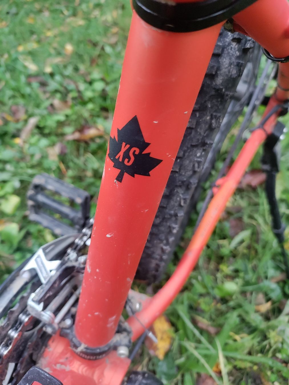 Focus Velos: Stabiles Velo XS Focus – Gebraucht aus Jonen von Xyz7 2