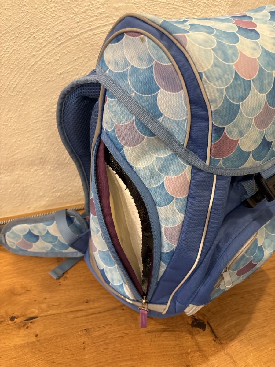 Funki Sacs & sacs à dos: Funki Schulthek – D'occasion à Stein am Rhein par martinaundmartin 3