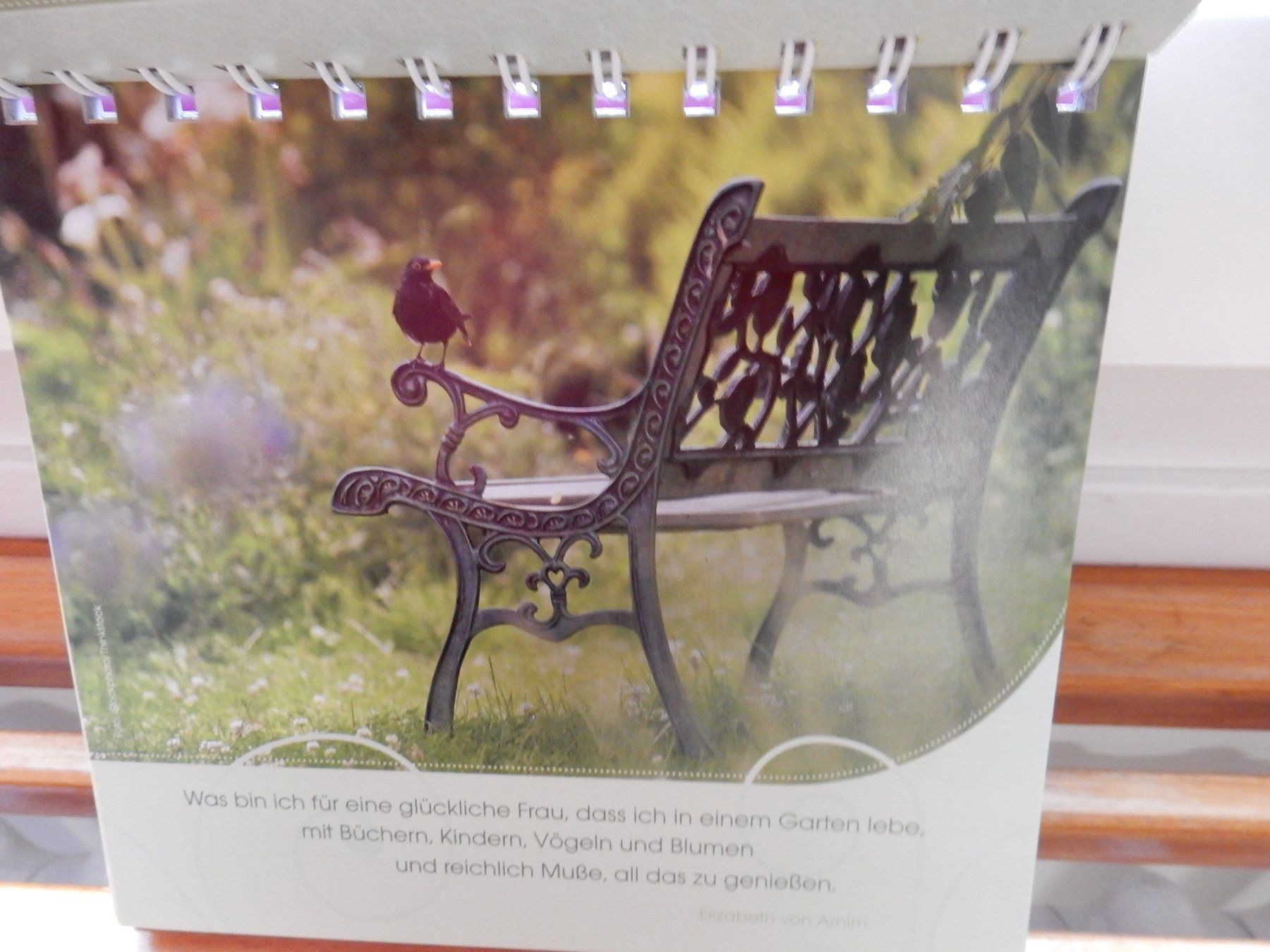 Kalender: immerwährender Kalender 'Paradies Garten' Groh NEU – Neu (gemäss Beschreibung) aus Jona von JOberg_25 4