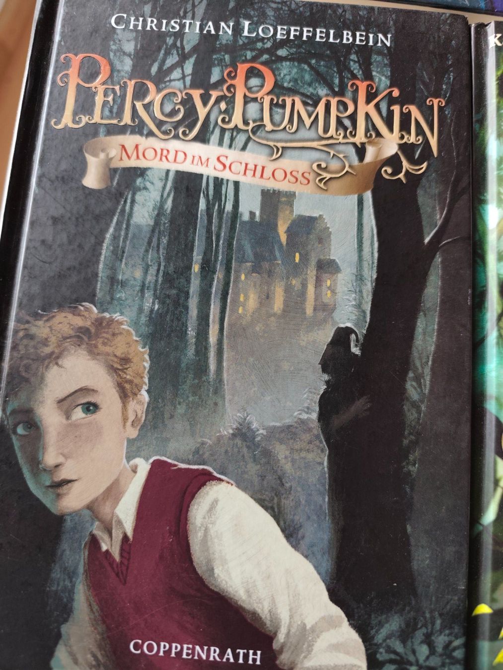 Libri: Jugendbuchpaket – Usato da Tegerfelden venduto da jea_f5xk 3