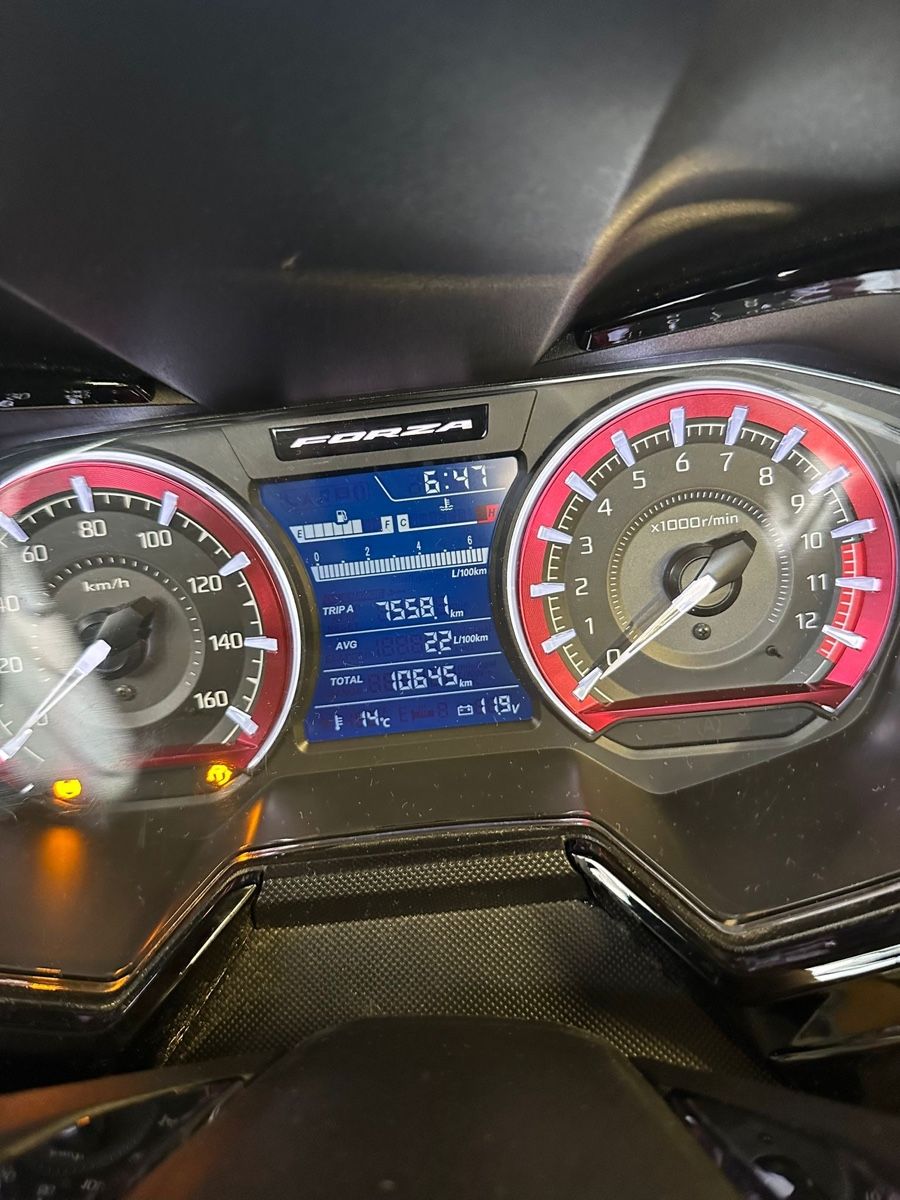 Honda Scooter: Honda Forza 125 Special Edition – Usato da Zürich venduto da Perowe 6