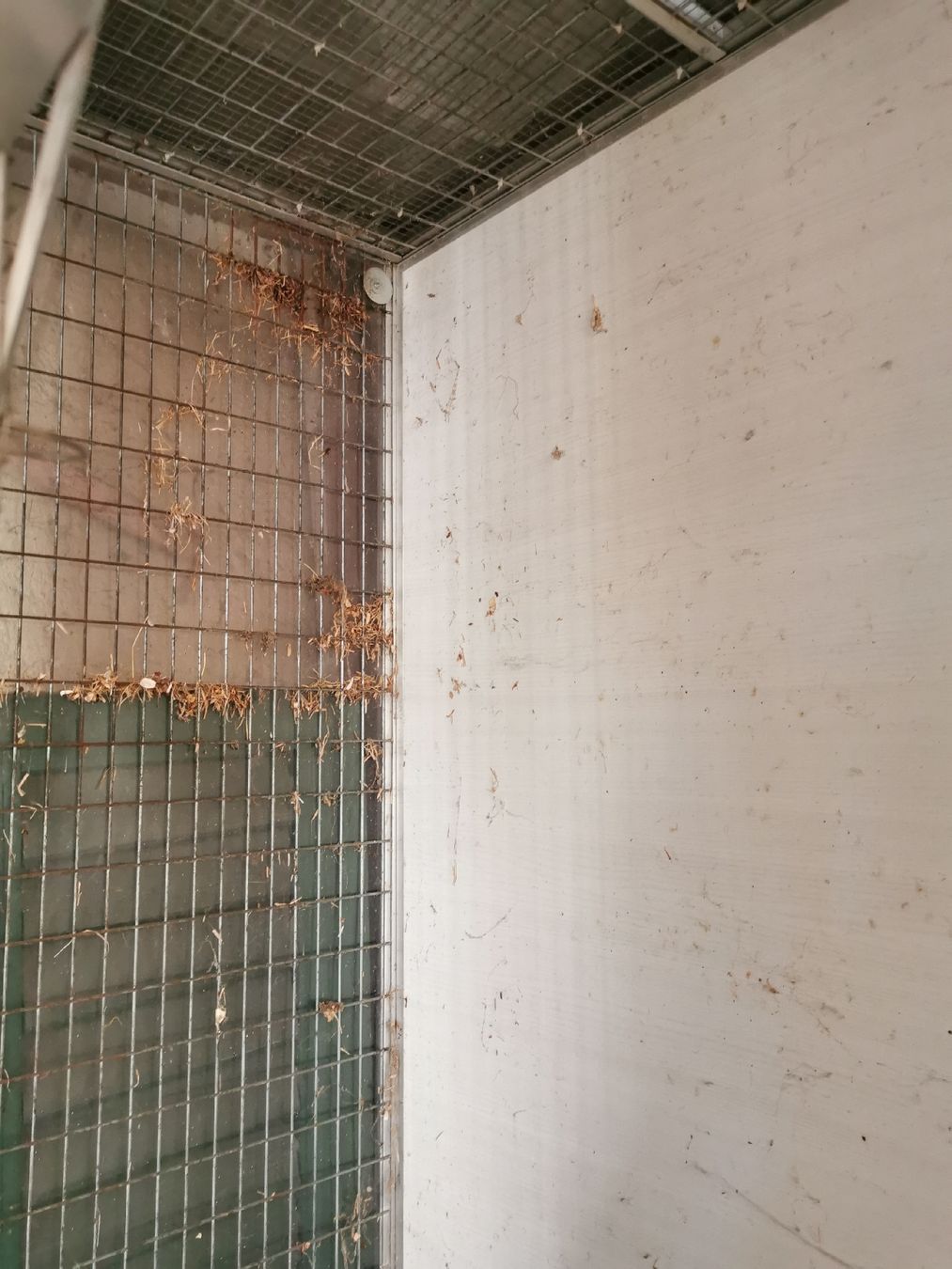 Cages, transport & sécurité: Voliere Leuenberger Gebraucht – D'occasion à Wettingen par Simar 3