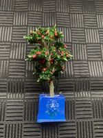 Miniatur-Apfelbaum im Topf,  Herbstdeko f. Puppenstube