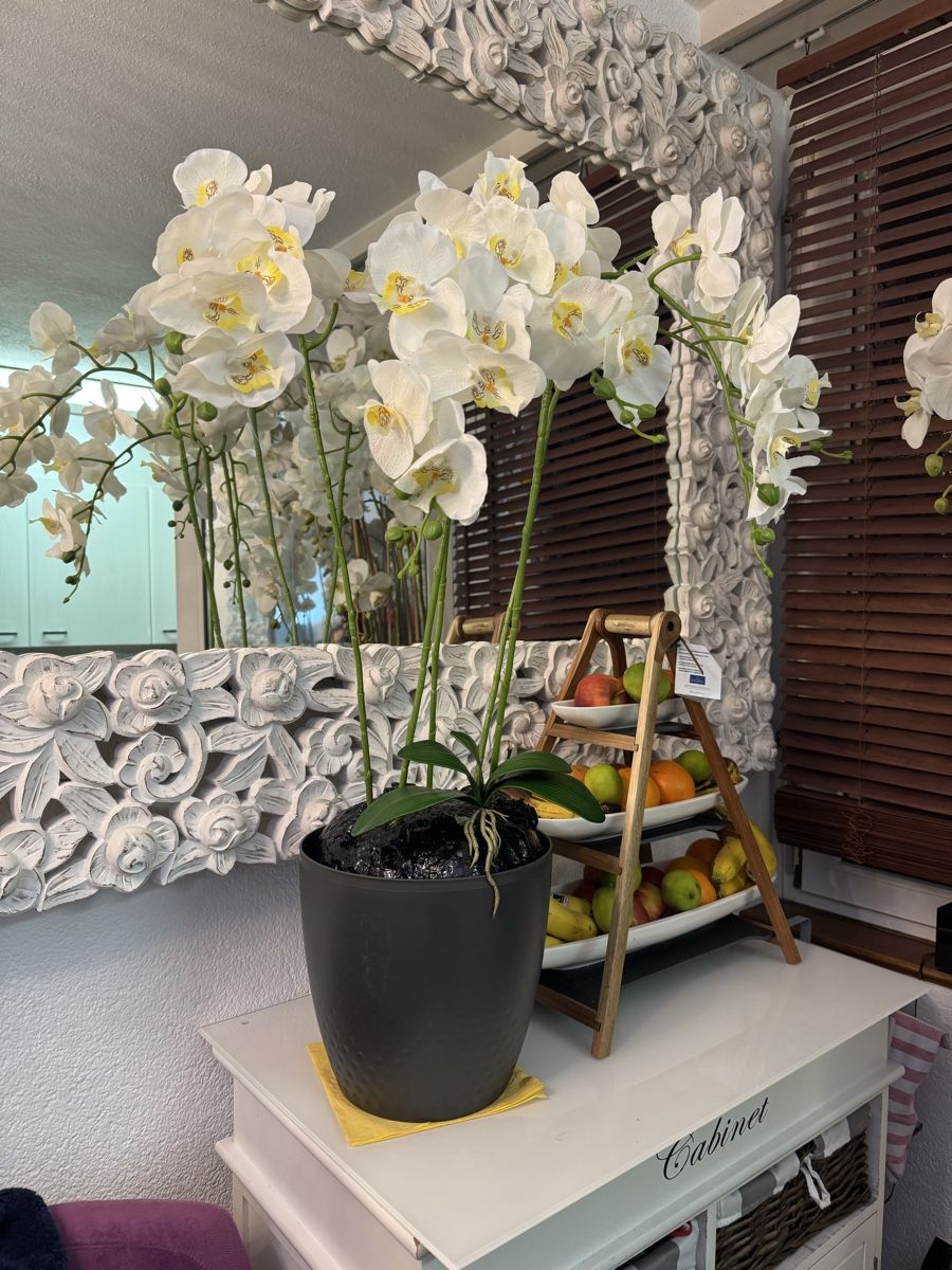 Tutte le decorazioni: Künstliche  Orchideen – Nuovo (secondo la descrizione) da Zürich venduto da Privat4444 1