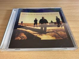 Frank Black And The Catholics – Dog In The Sand