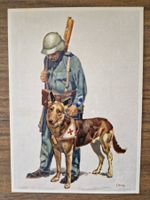 Ansichtskarte 2. Weltkrieg Militär Rotes Kreuz Schäferhund