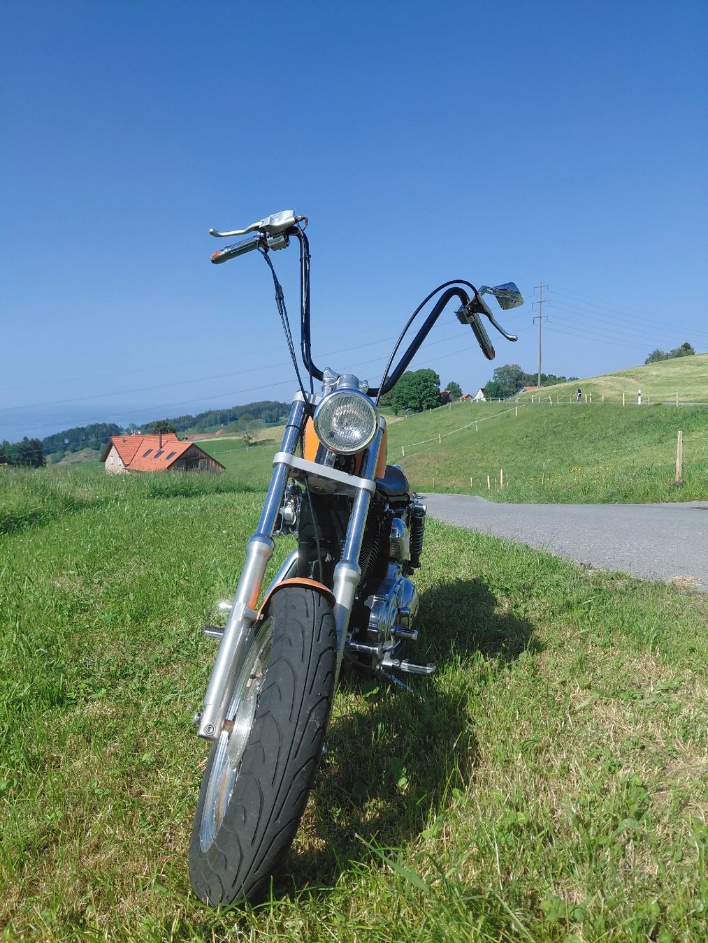 Harley-Davidson Chopper: Harley davidson XL 1200 neu ab Mfk – Usato da Heiden venduto da jan_2yvv 1
