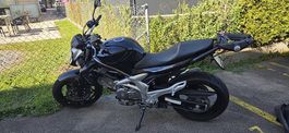 Suzuki SFV 650 UA Gladius