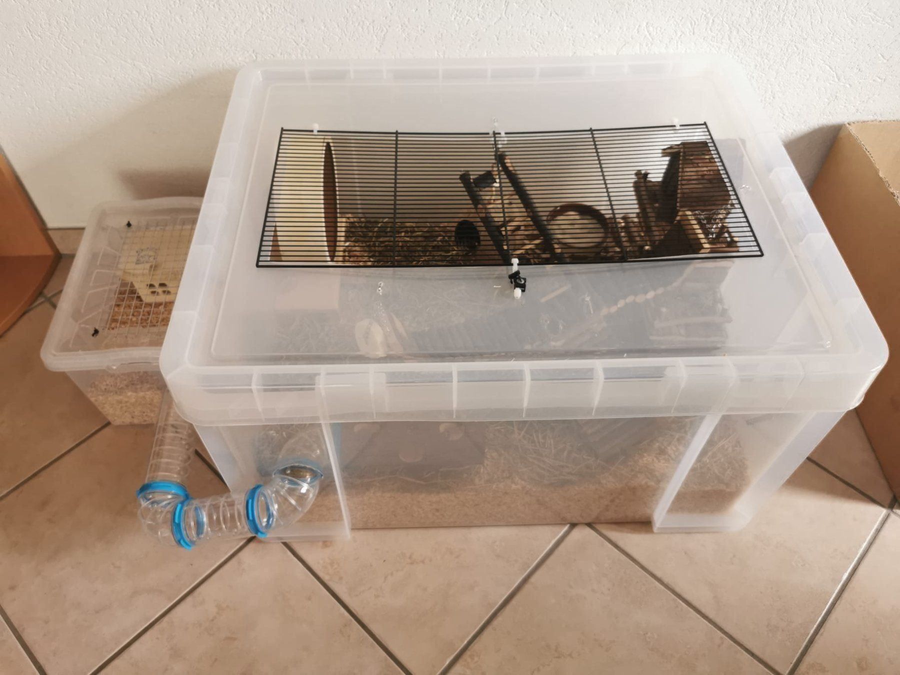 Gabbie, trasporto & Sicurezza: Cage rongeur fait maison + accessoires – Usato da Moutier venduto da Matteoleroux 4