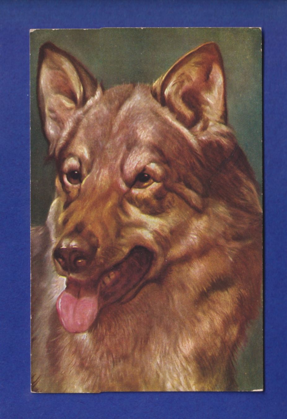 Cartoline postali: CHIEN / HUND – Usato da Pully venduto da nicecards-shop