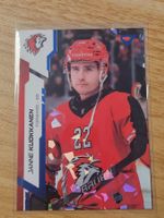 Sportzoo - Janne Kuokkanen - Lausanne HC - 05/30
