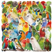 50 Aufkleber Sticker - Papageien transparent