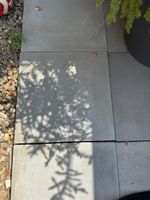 Gartenplatten