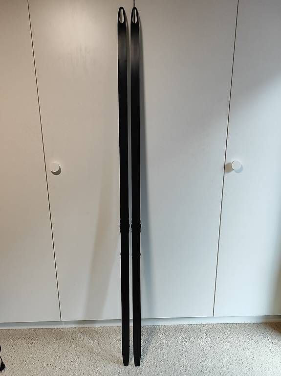 Fischer Skis: Fischer Langlaufski 192cm Skating Carbon – D'occasion à Unterschächen par Michaela_55 1