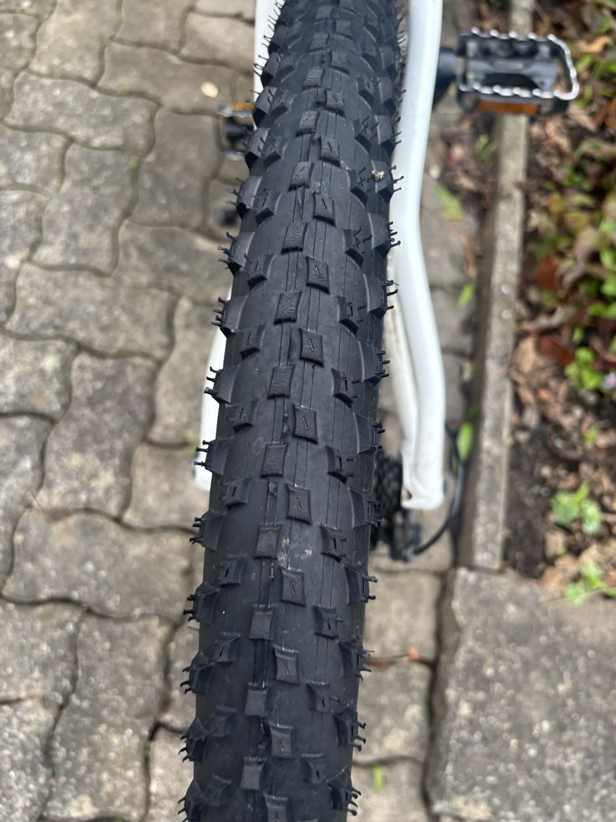 Wheeler Biciclette: Wheeler Mountainbike – Usato da wädenswil venduto da vandalos 2