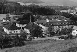 Gruss aus Winterthur - Auswahl von 150 antiken Karten