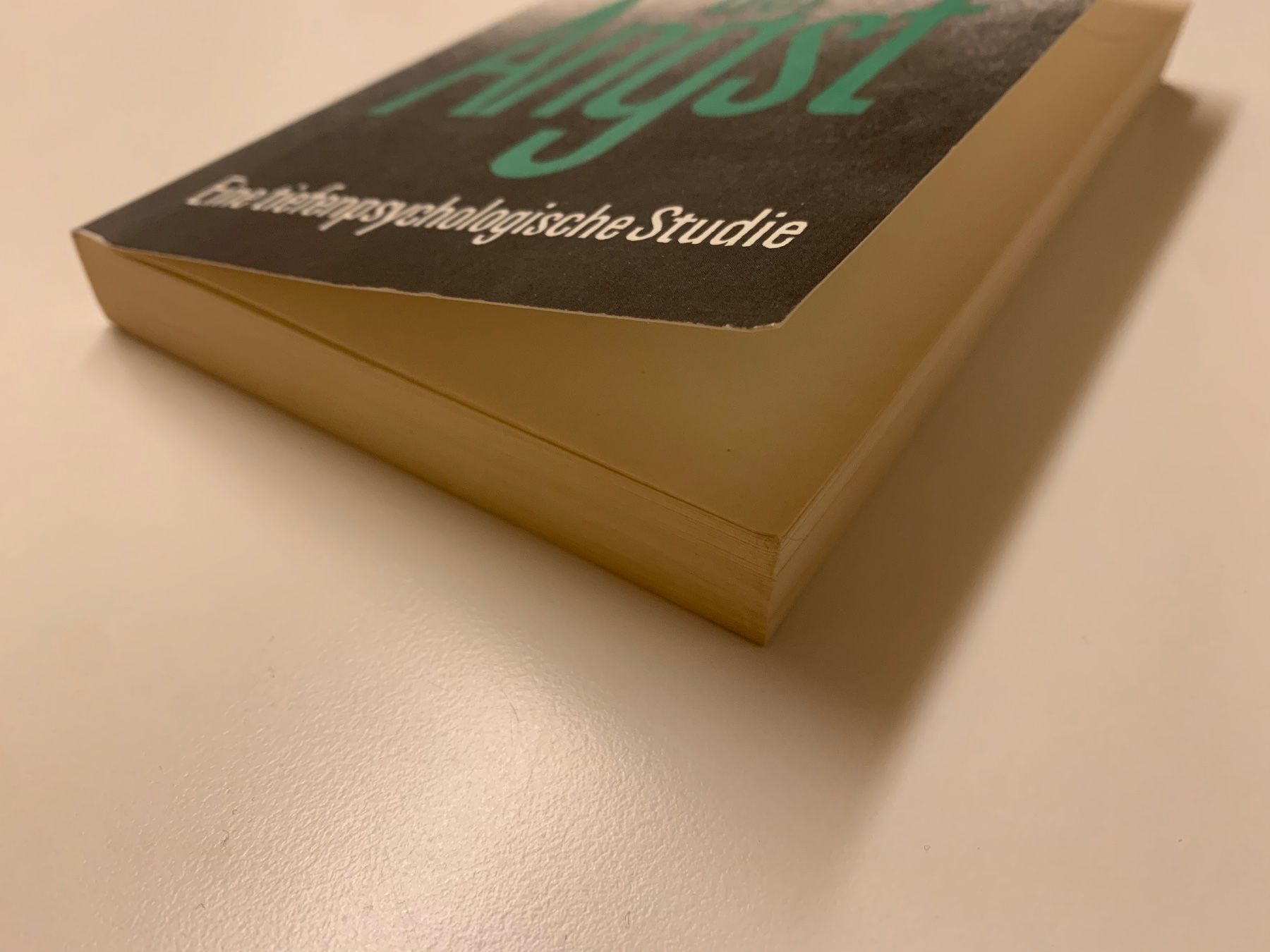 Libri: Fritz Riemann - Grundformen der Angst, 1994 – Usato da Zürich venduto da Leonieonie. 5