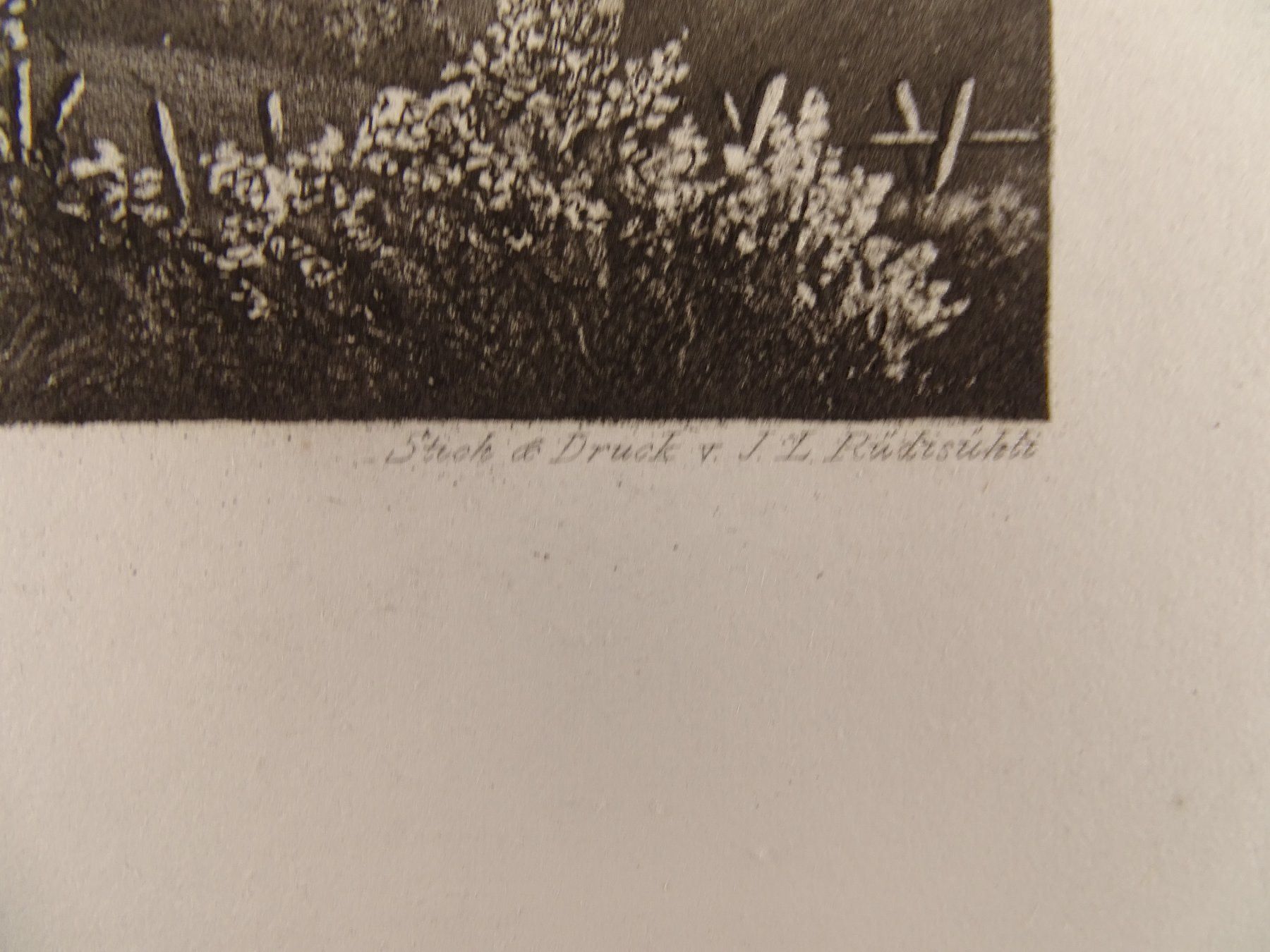 Incisioni: AARAU, AQUATINTA 1865 – Usato da Grüningen venduto da Kartensammler 5