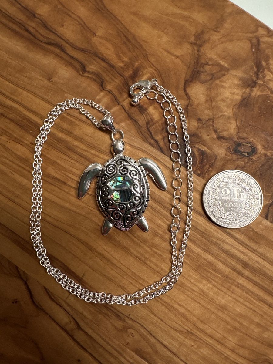 Catenine: Silberne Kette Schildkröte mit Abalone Muschel – Nuovo (secondo la descrizione) da Trüllikon venduto da angela4444 3