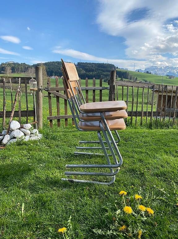 Sedie: Retro Freischwinger Holzstühle – Nuovo (secondo la descrizione) da Gais venduto da kernaless
