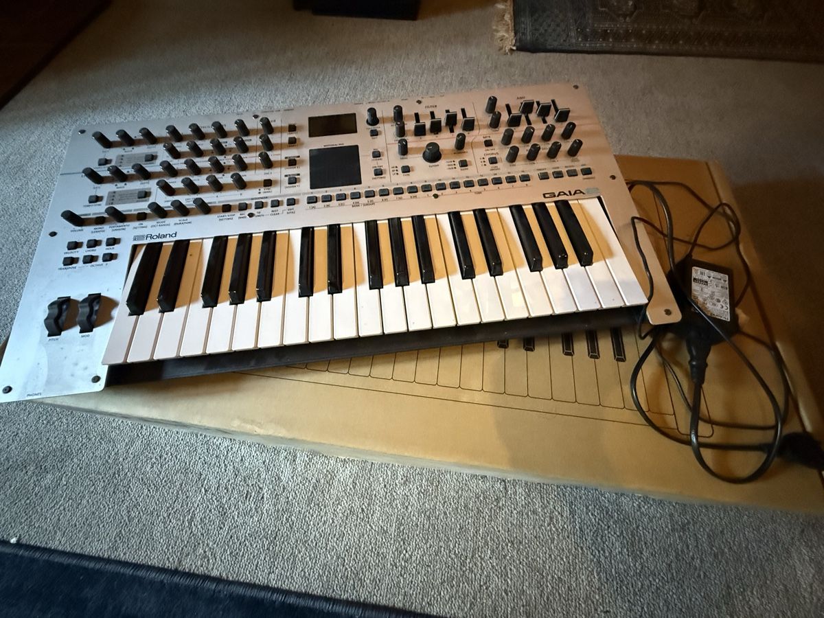 Roland Strumenti musicali: ROLAND GAIA 2 Synthesizer – Nuovo (secondo la descrizione) da Bülach venduto da Fehrquenz84