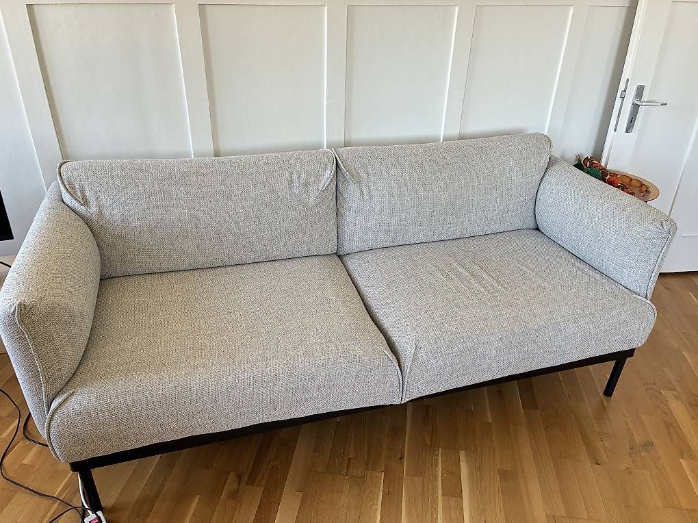 Ikea Divani: ÄPPLARYD 2er Sofa grau – Usato da Zürich venduto da roth.m 2