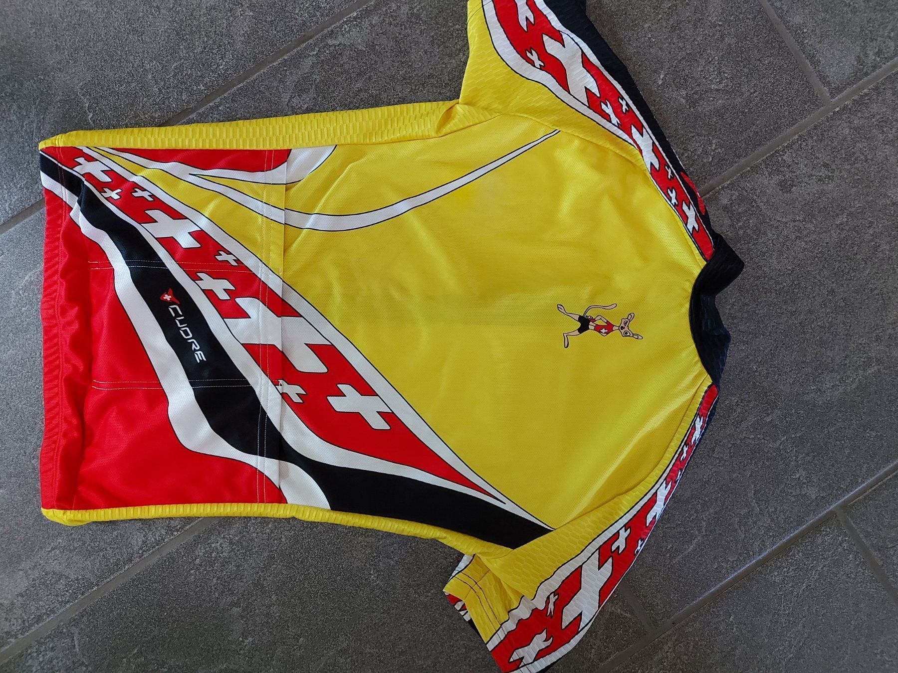 Canottiere & Pantaloni: Fahrradtrikot gr S – Usato da recherswil venduto da papamoll71 2