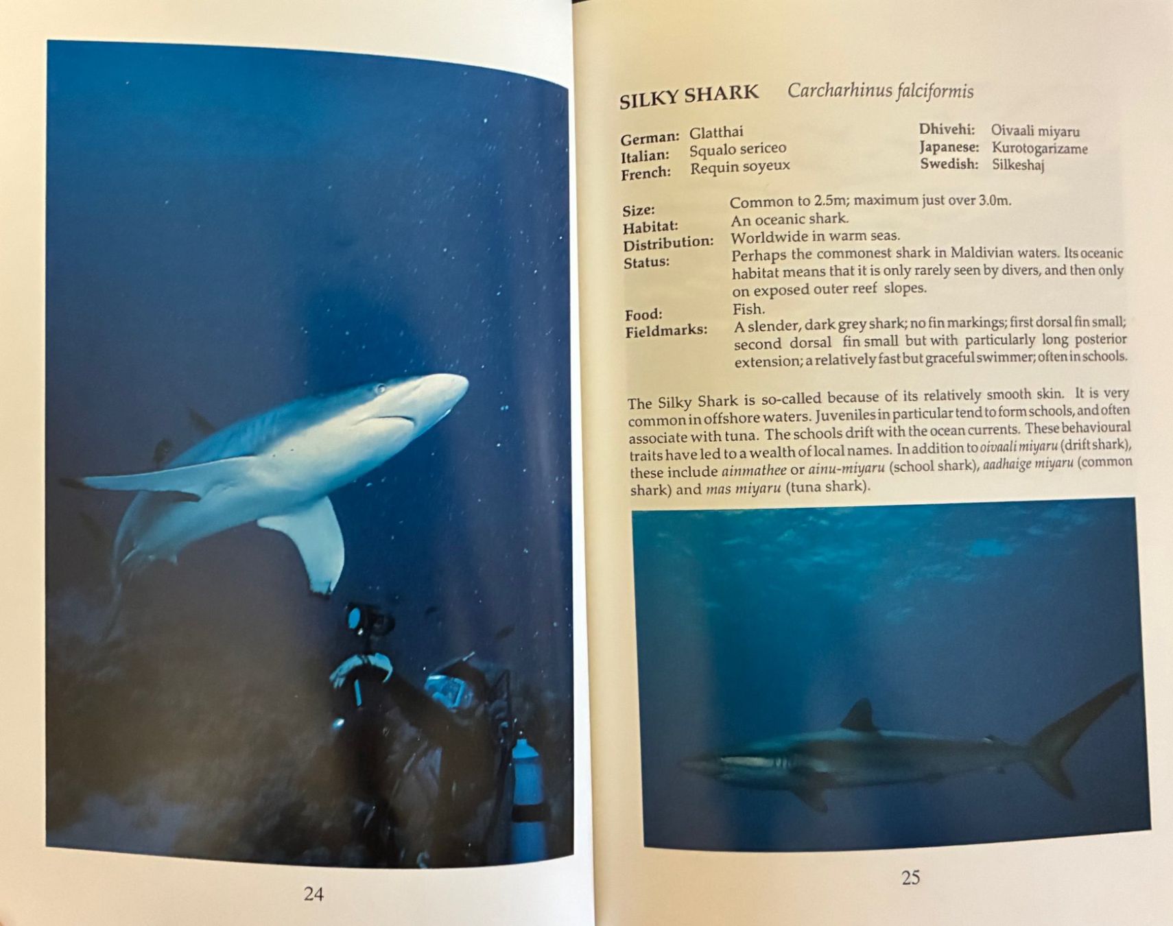 Libri: guides sur la plongées aux Maldives – Usato da Moutier venduto da lebadin 3