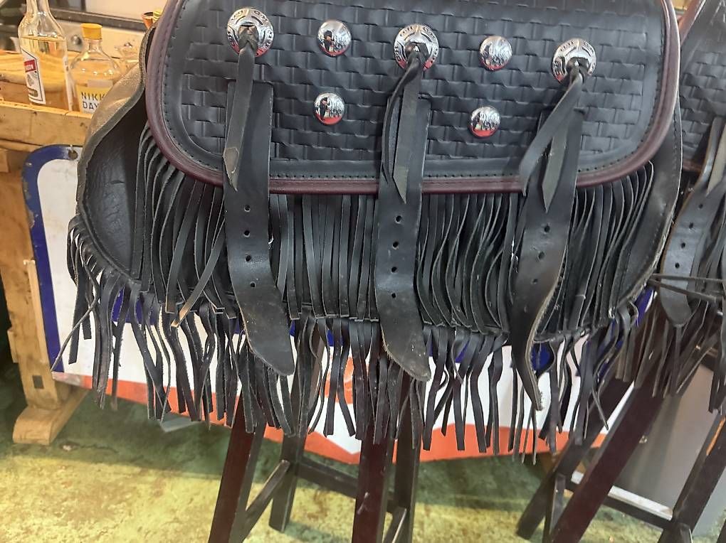 Valigie: Sacoches harley Davidson  – Usato da Begnins venduto da STAR-DESIGN 3