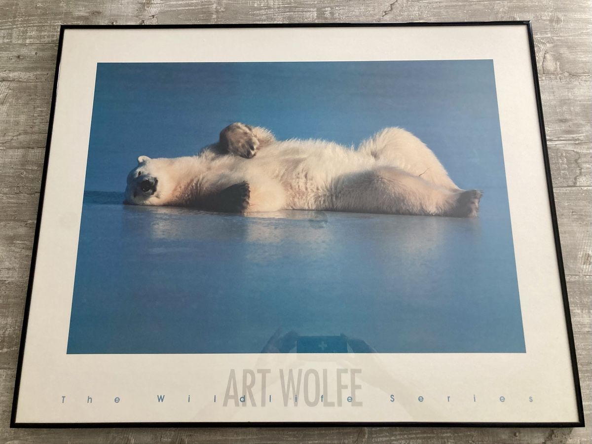 Poster & Bilder: Bild Art Wolfe – Gebraucht aus Schwändi GL von Blacklife