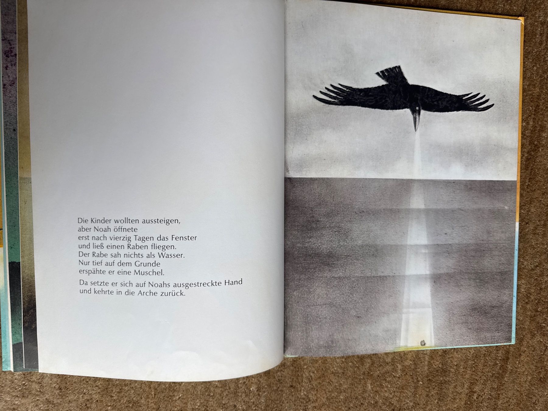 Libri: Der Regenbogen - Max Bolliger – Usato da Aarau venduto da Kilauea 6