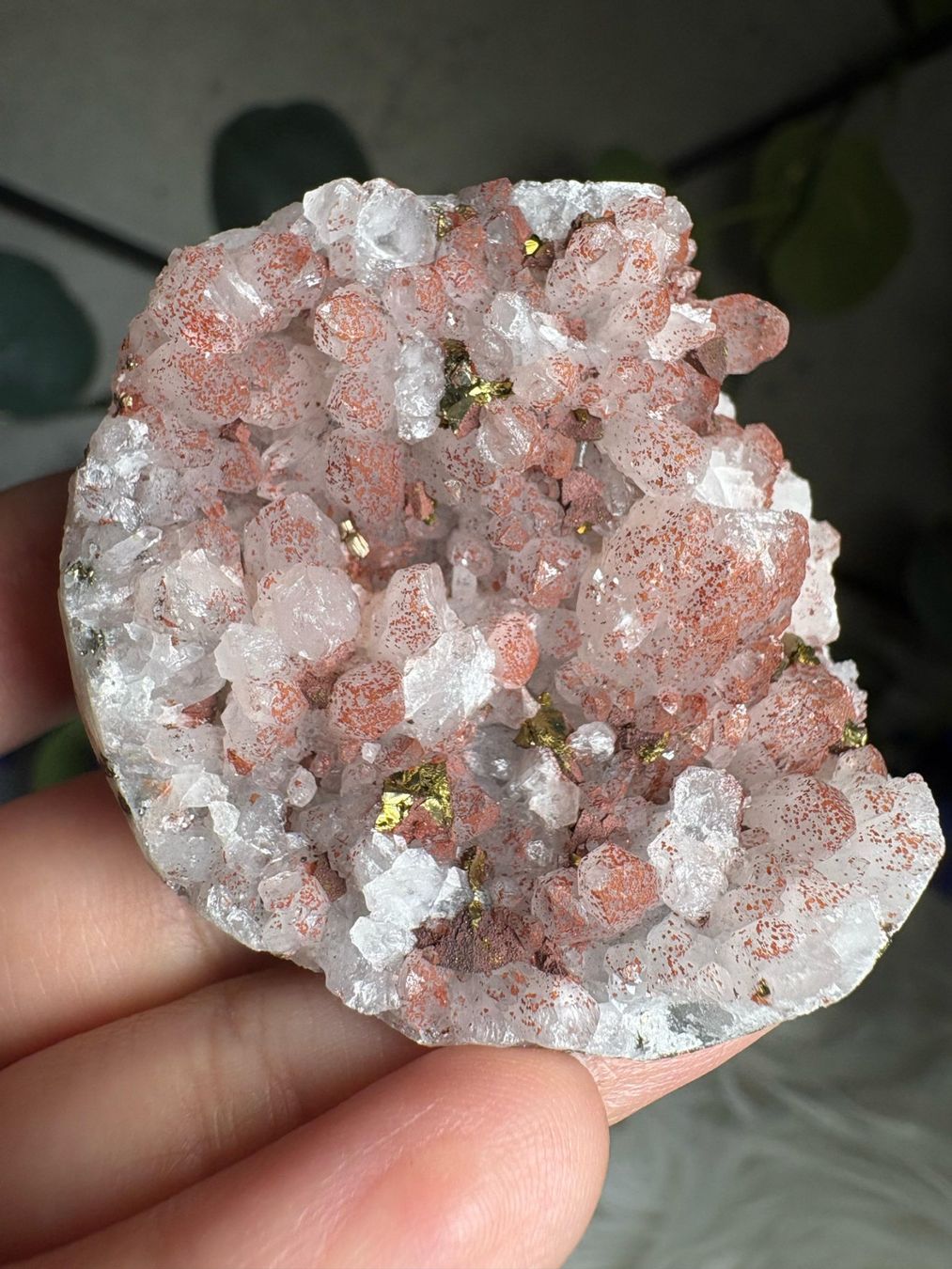 Pietre preziose: Roter Quarz-Cluster mit Pyrit – Nuovo (secondo la descrizione) da Neuheim venduto da m.hald