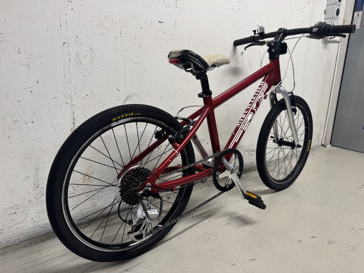 MTB Cycletech Vélos: Cycle tech 20 Zoll  – D'occasion à Widnau par Barbaros82 4