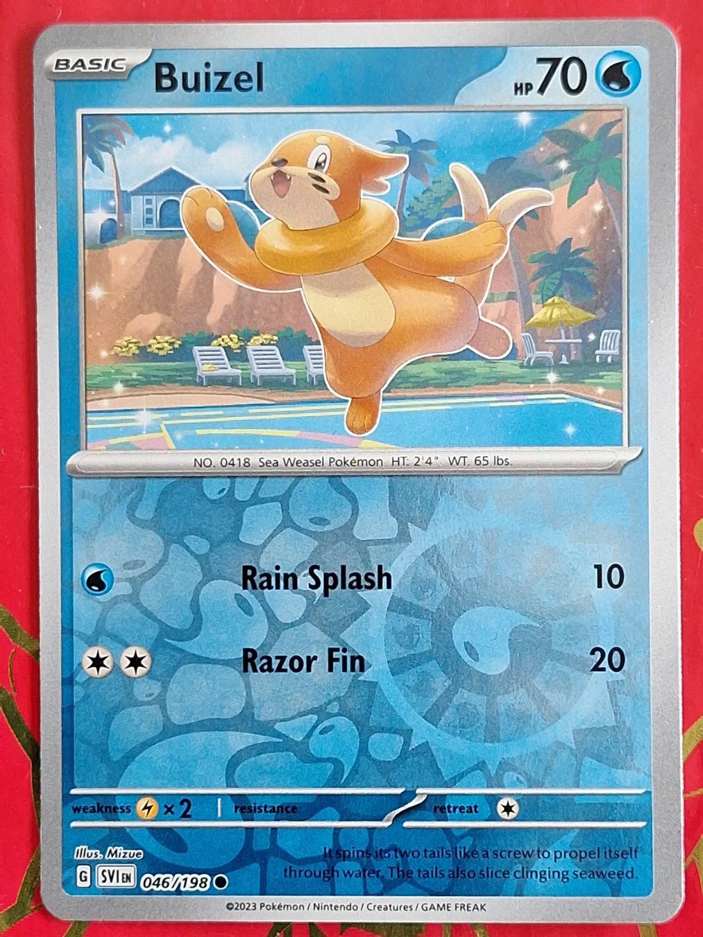 Pokémon Carte collezionabili: Buizel - Pokemon Reverse Holo Scarlet Violet Base – Usato da Altstätten SG venduto da GGsGameshop