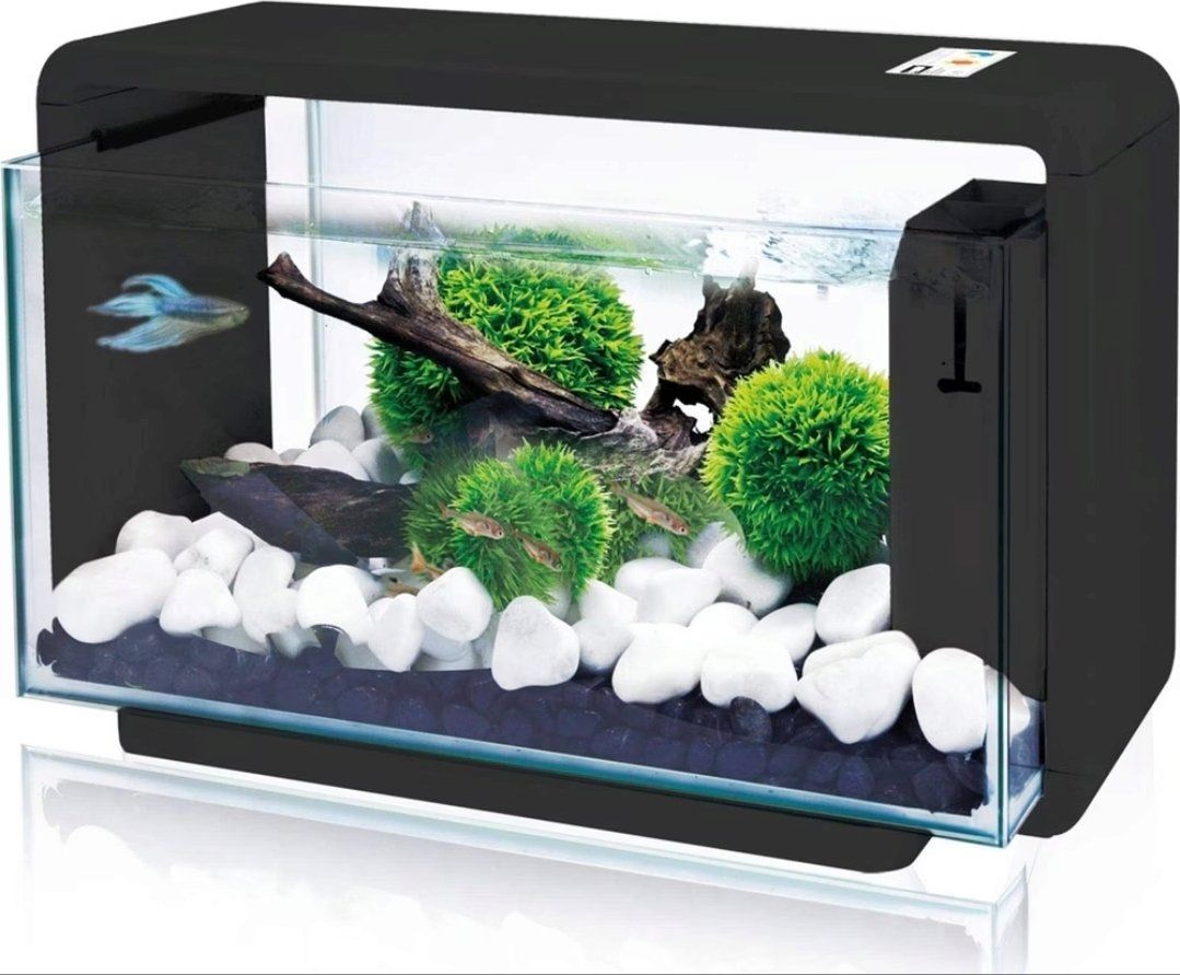Amazonas Aquarium: 25L Amazonas Aquarium 4 Monate alt – Gebraucht aus Ebikon von Automaus 3