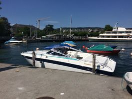 CHRIS CRAFT LIMMITED 245