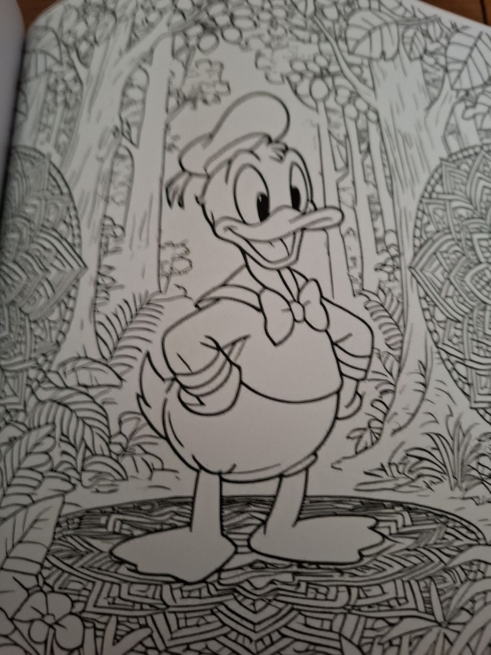 Libri: Donald Duck Malbuch. – Nuovo e nell'imballaggio originale da Aarberg venduto da Happy058 2