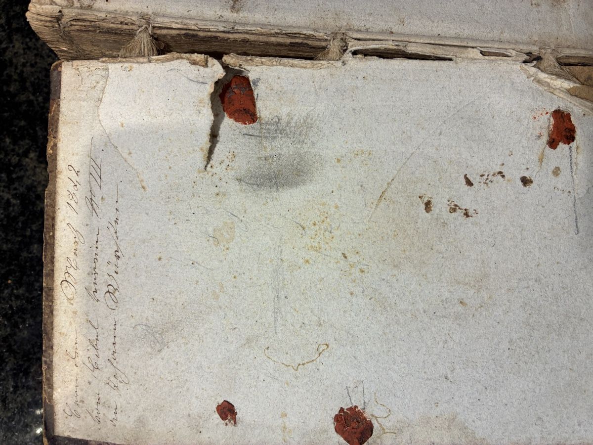Libri: Die Bibel - Heilige Schrift – Usato da Belp venduto da Hornusser54 1