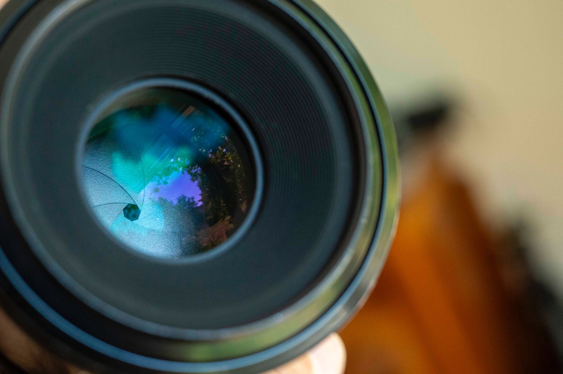 Nikkor Objektive: Nikon Micro-Nikkor 105mm f4.0 AIS – Gebraucht aus Schwerzenbach von floridan 5