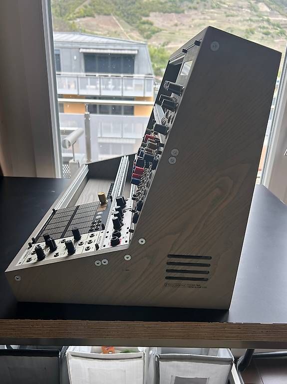 Strumenti musicali: 2manySynth 10U inspired by EMS VCS3 – Usato da Fully venduto da mxbdh 1